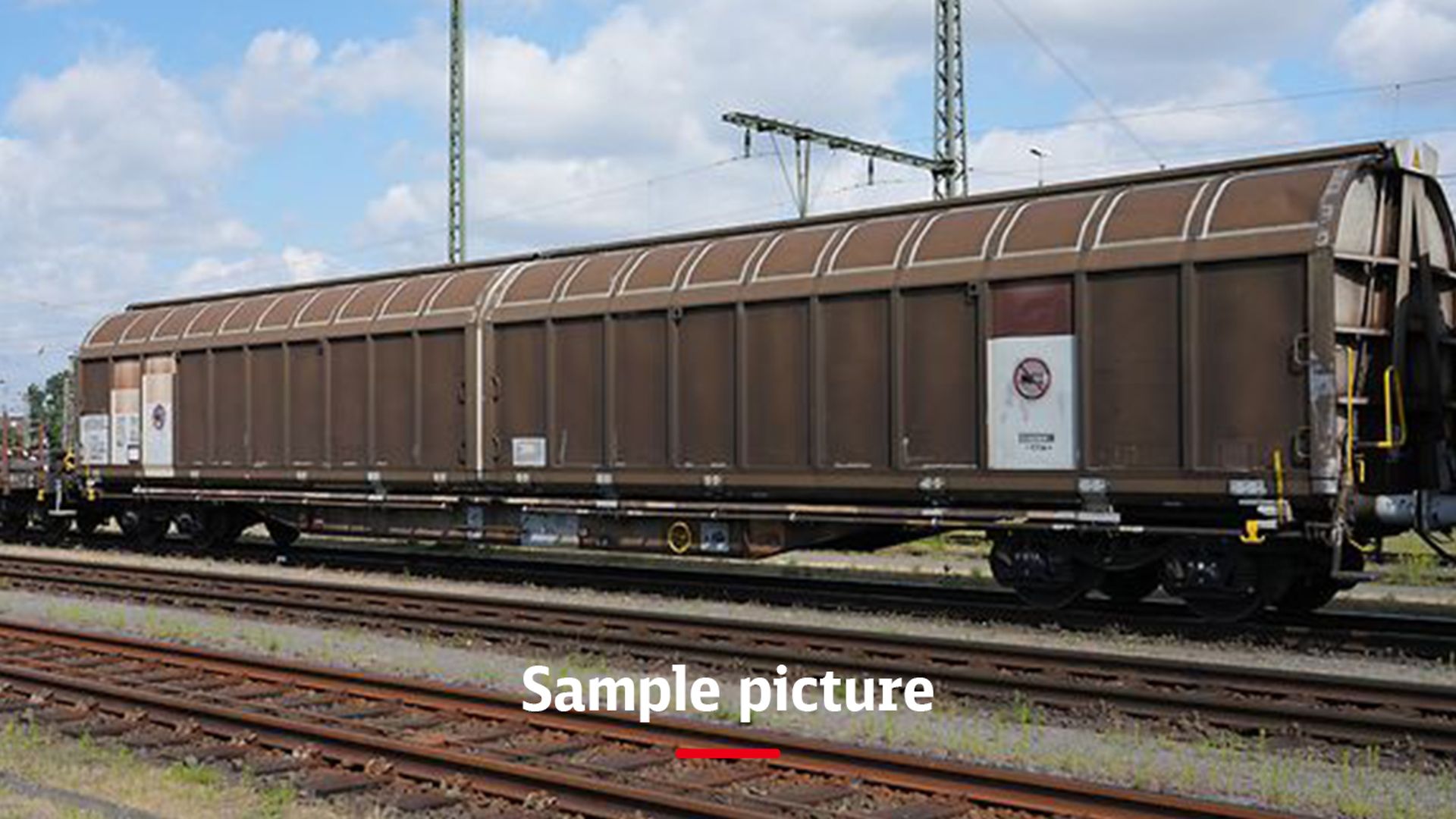 A goods train with brown wagons and the signature Sample picture